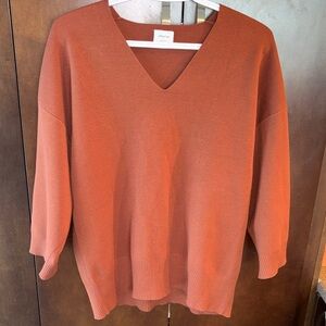 Aritzia Rust brown V-Neck Sweater
